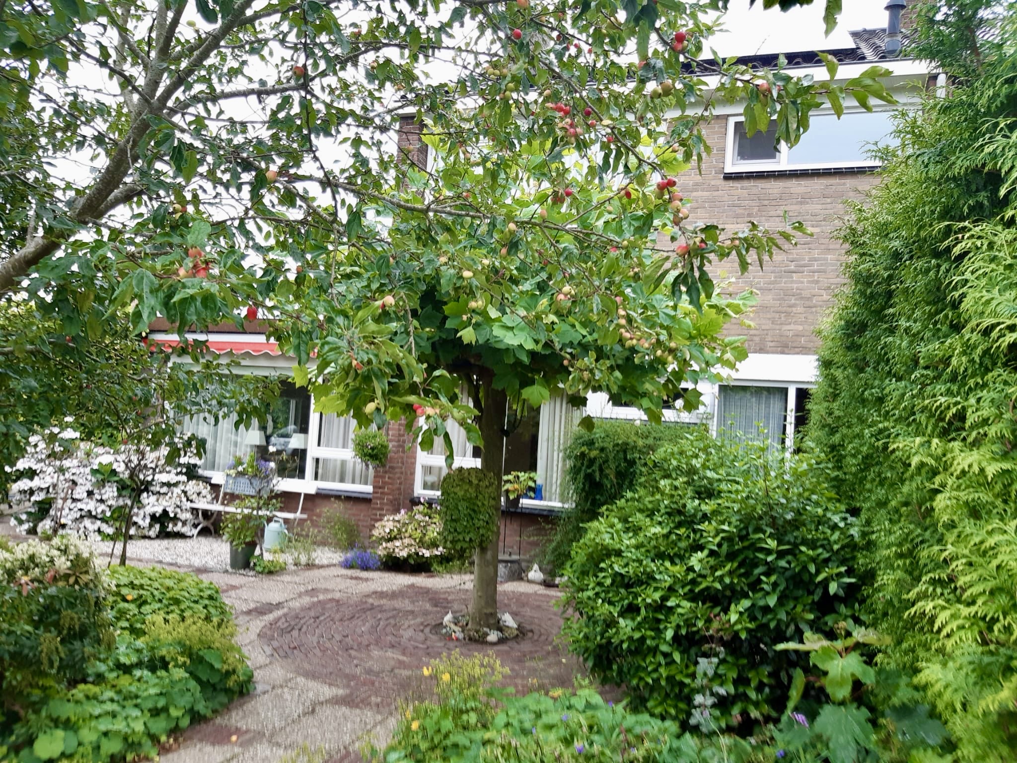 /userfiles/images/anecdotes/67a0d5321ddf6_Beatrixlaan huis en tuin voor.jpg